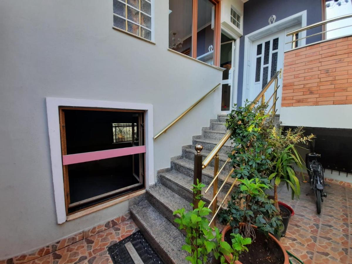 Villa 53 티라나 외부 사진